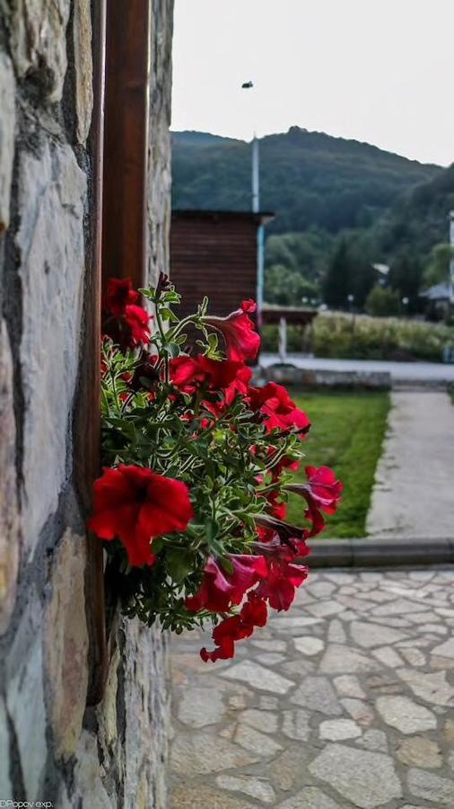 Villa 'Iva' Маврово Екстериор снимка